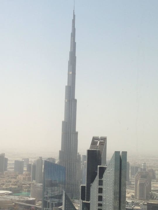 The beauty of the scene Rose Rayhaan by Rotana