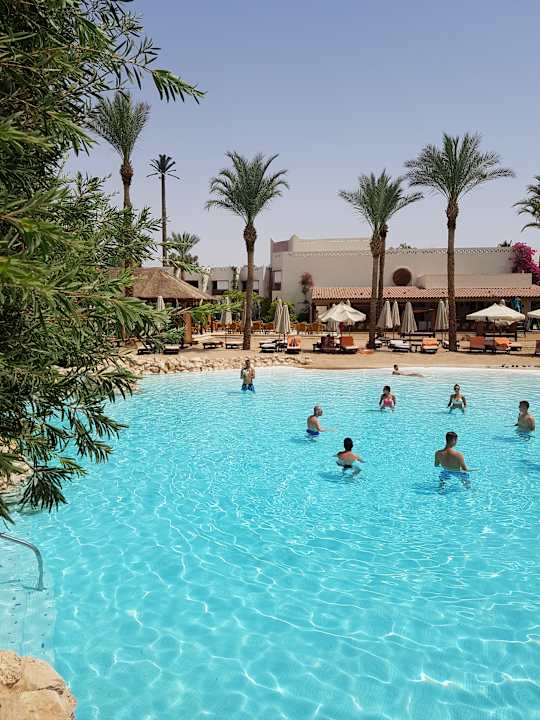 Pool Ghazala Gardens