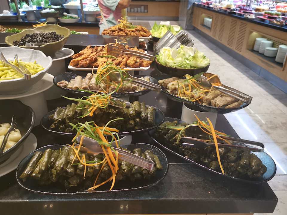 Gastro Seashell Vega