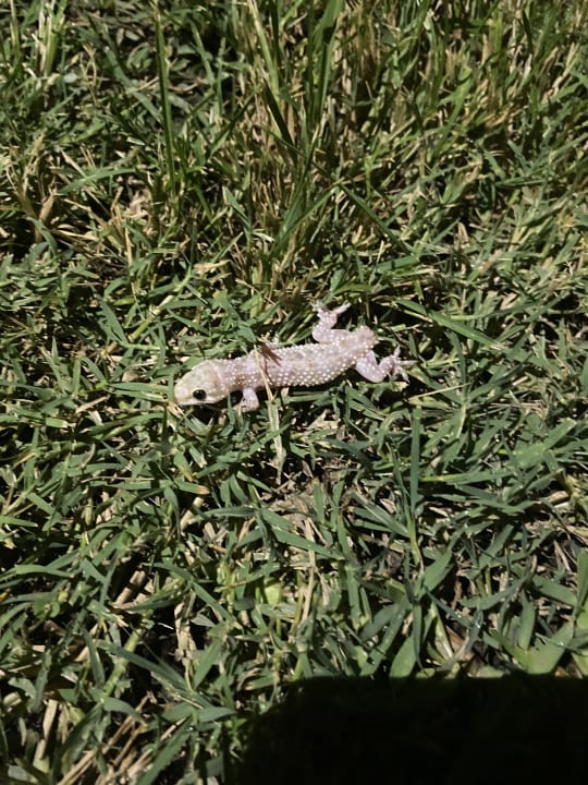 Sonstiges VONRESORT Golden Beach