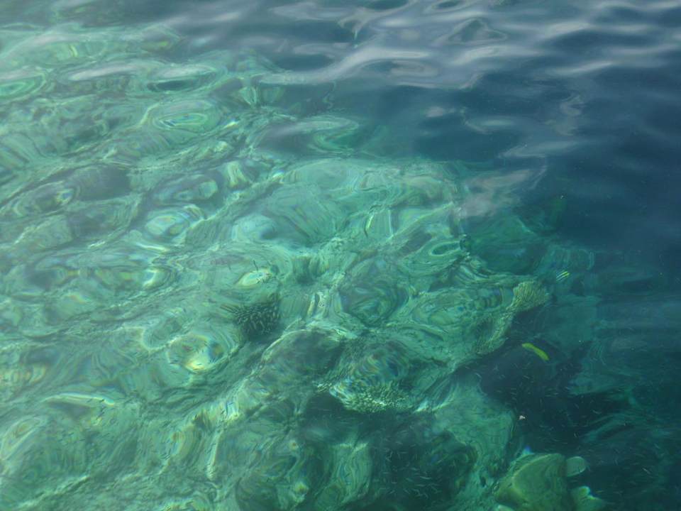 Hausriff vom Steg Biyadhoo Island Resort