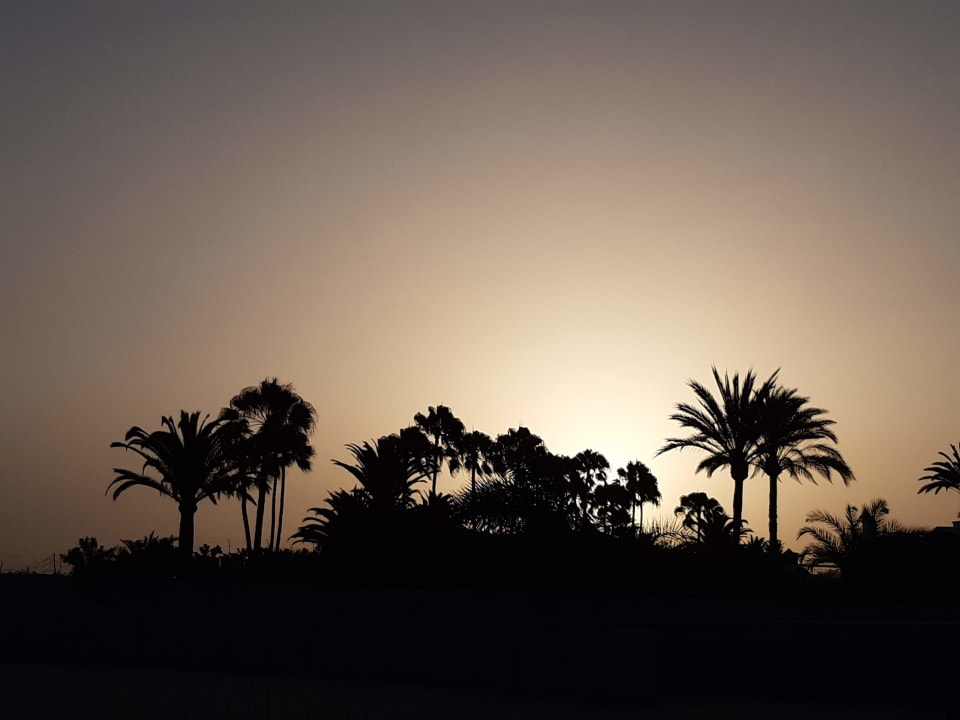 Außenansicht Hotel Riu Palace Maspalomas Adults Only