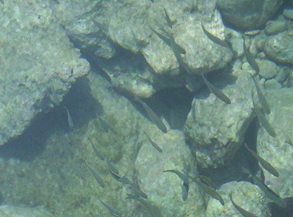 Wie gesagt - geiles Wasser! Hotel Ionian Princess & Thinalos