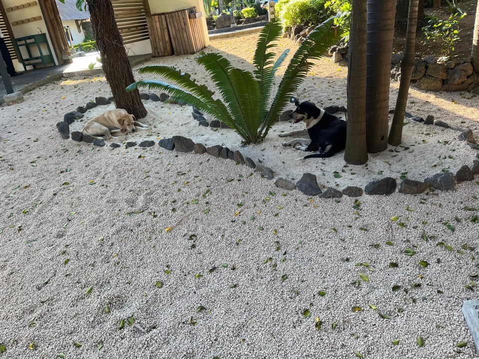 Lobby Lagoon Attitude - Adults only