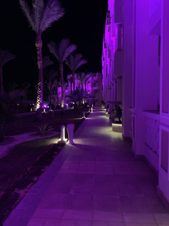 Gartenanlage Pickalbatros Palace Resort