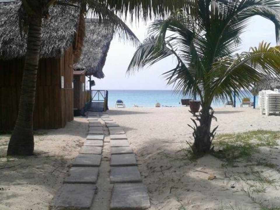 Plage de I'hôtel Hotel Roc Barlovento
