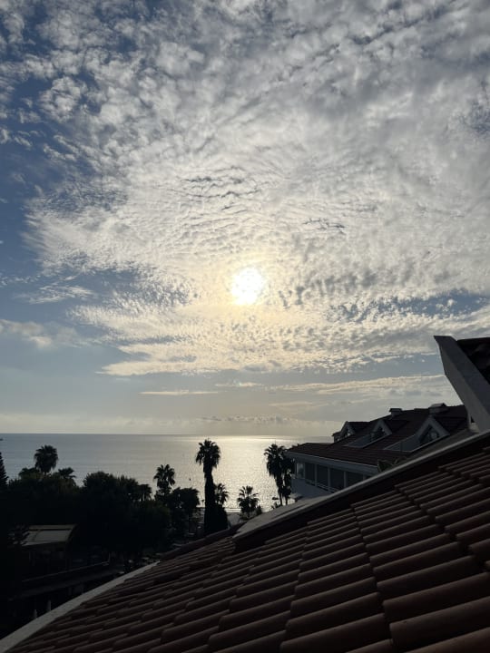 Zimmer Side Star Beach