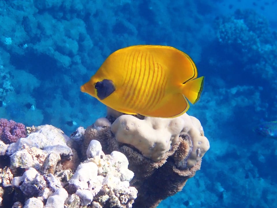 Strand Three Corners Equinox Beach Resort