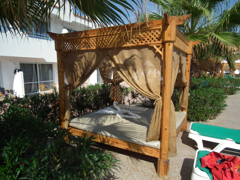 Paravent-Liegen am Hotelpool Dreams Vacation Resort