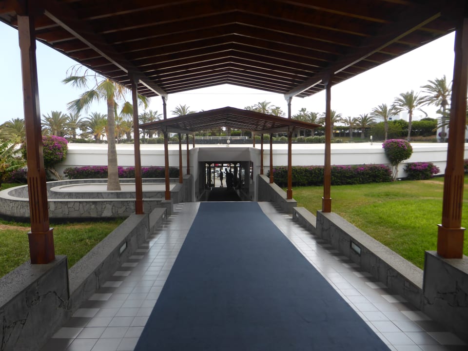 Sonstiges Relaxia Olivina