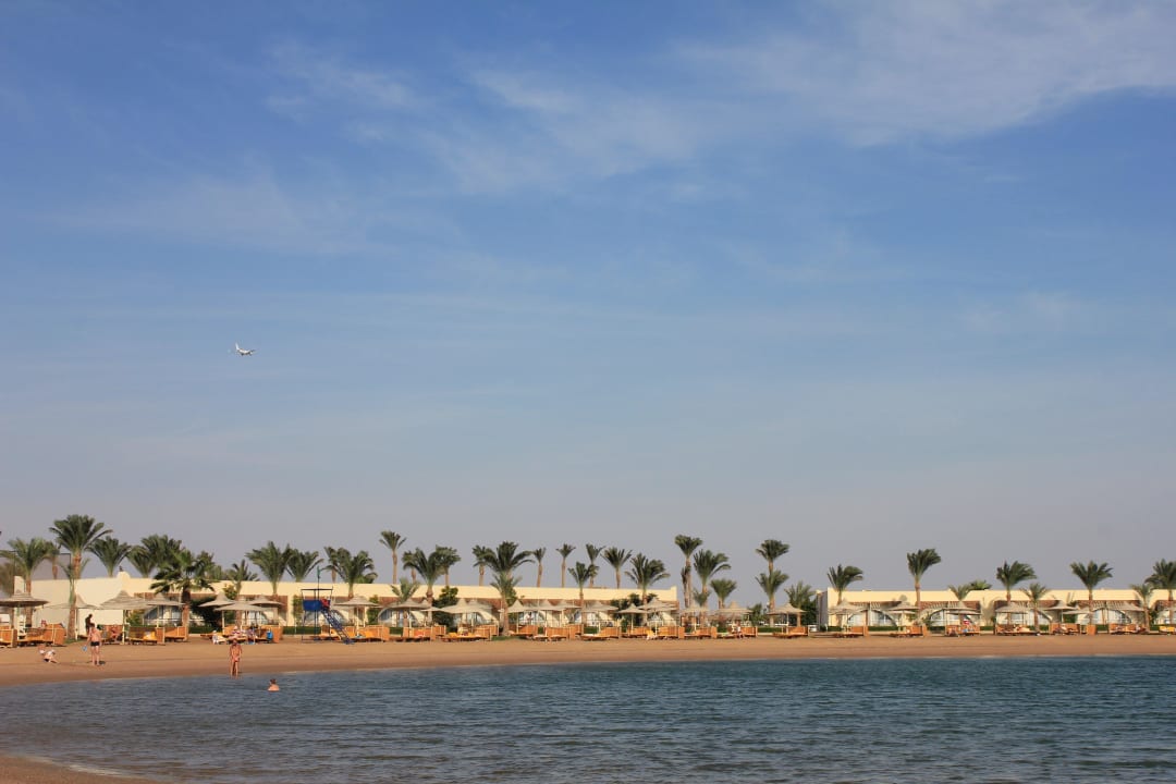 Лагуна  Desert Rose