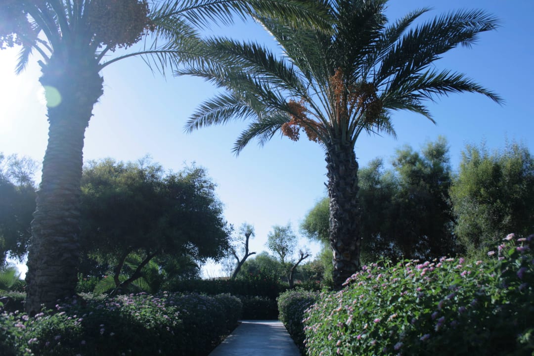 Weg zum Strand  Kırbıyık Resort Hotel - Alanya