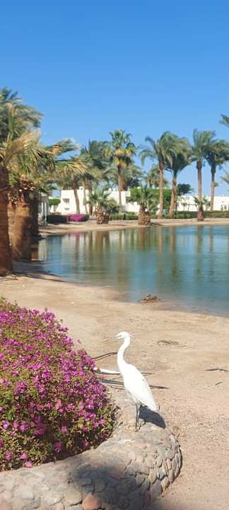 Außenansicht Pharaoh Azur Resort
