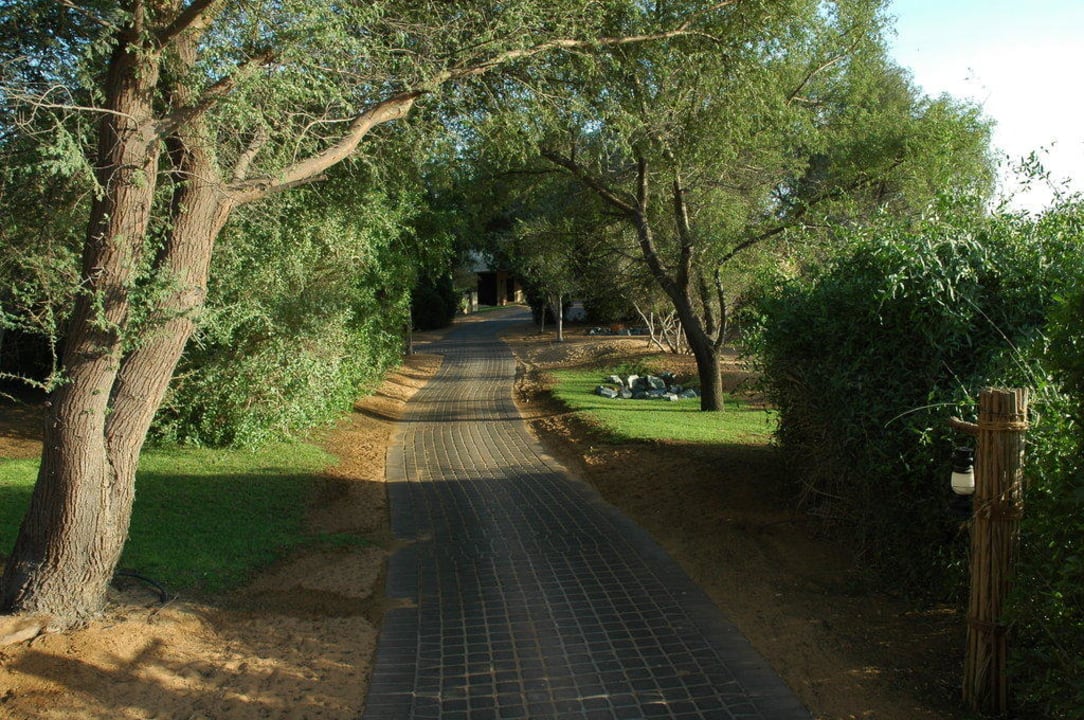 Weg zu den Suiten Al Maha, A Luxury Collection Desert Resort & Spa