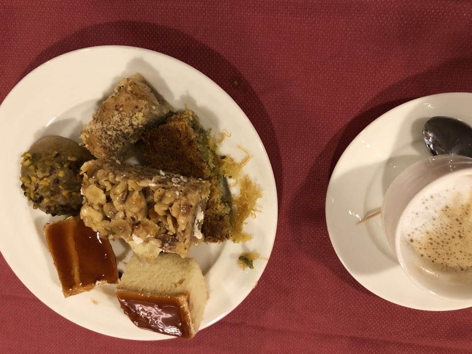 Gastro Royal Seginus