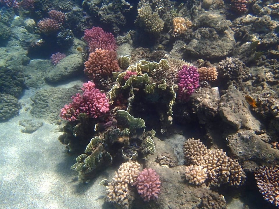 In the sea Three Corners Equinox Beach Resort