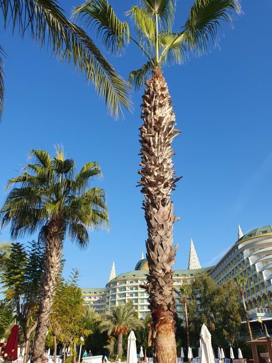 Außenansicht Hotel Delphin Imperial