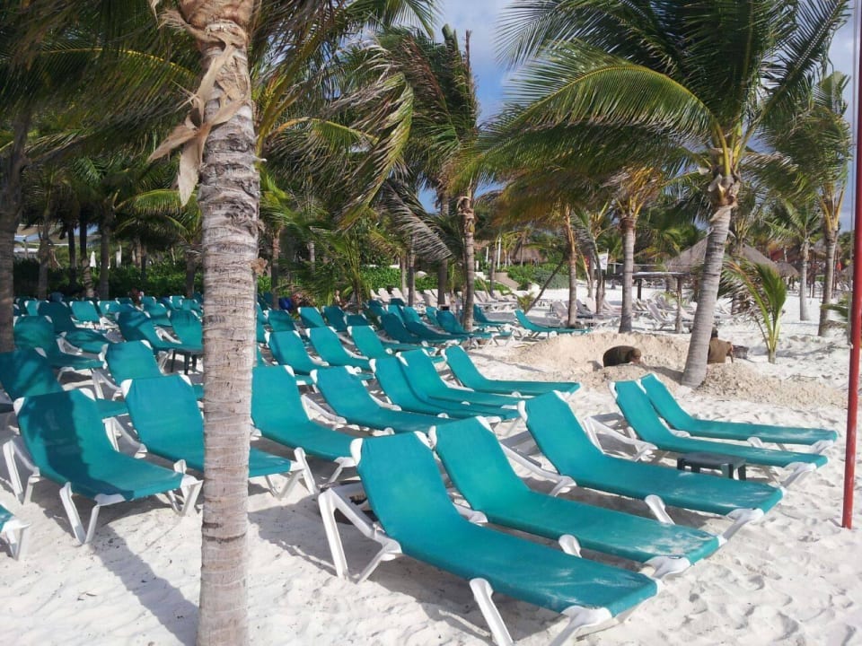 Hotel Catalonia Playa Maroma Catalonia Playa Maroma