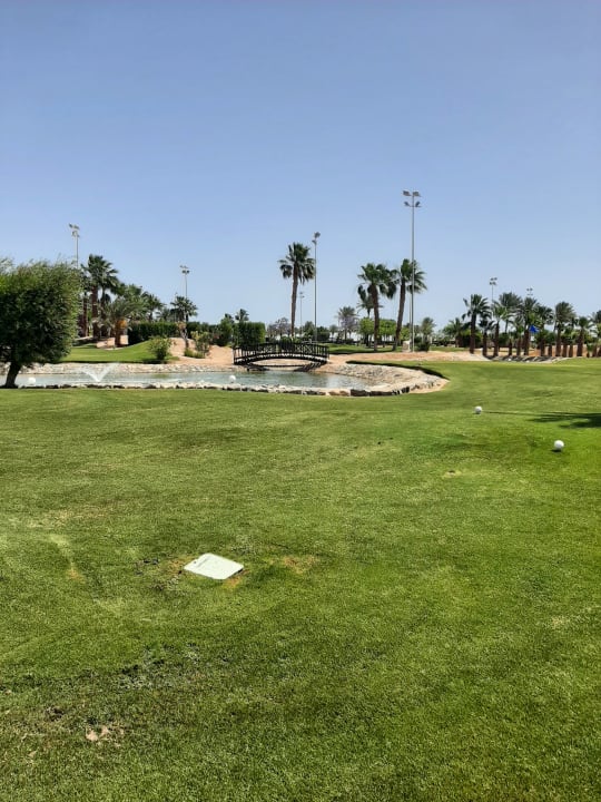 Gartenanlage Steigenberger ALDAU Beach Hotel