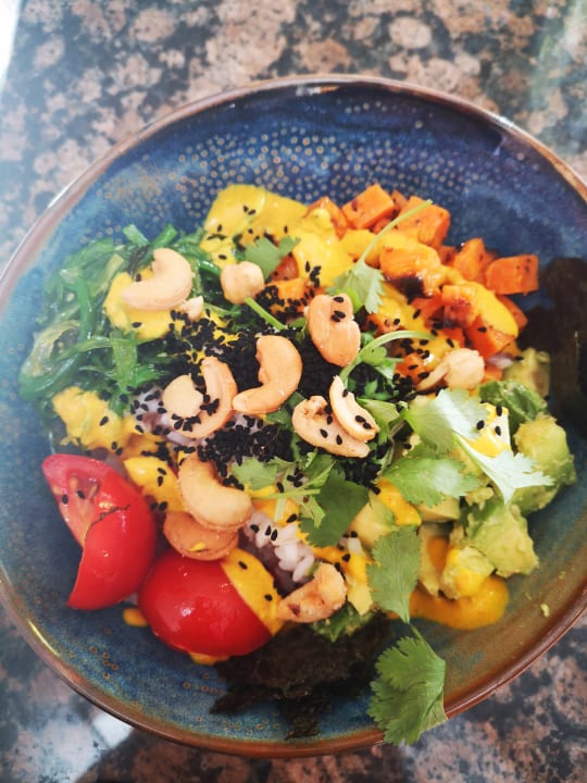 Gastro ROBINSON NOBILIS