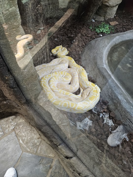 Sport & Freizeit Ferienwohnungen Ferienpark Weissenhäuser Strand