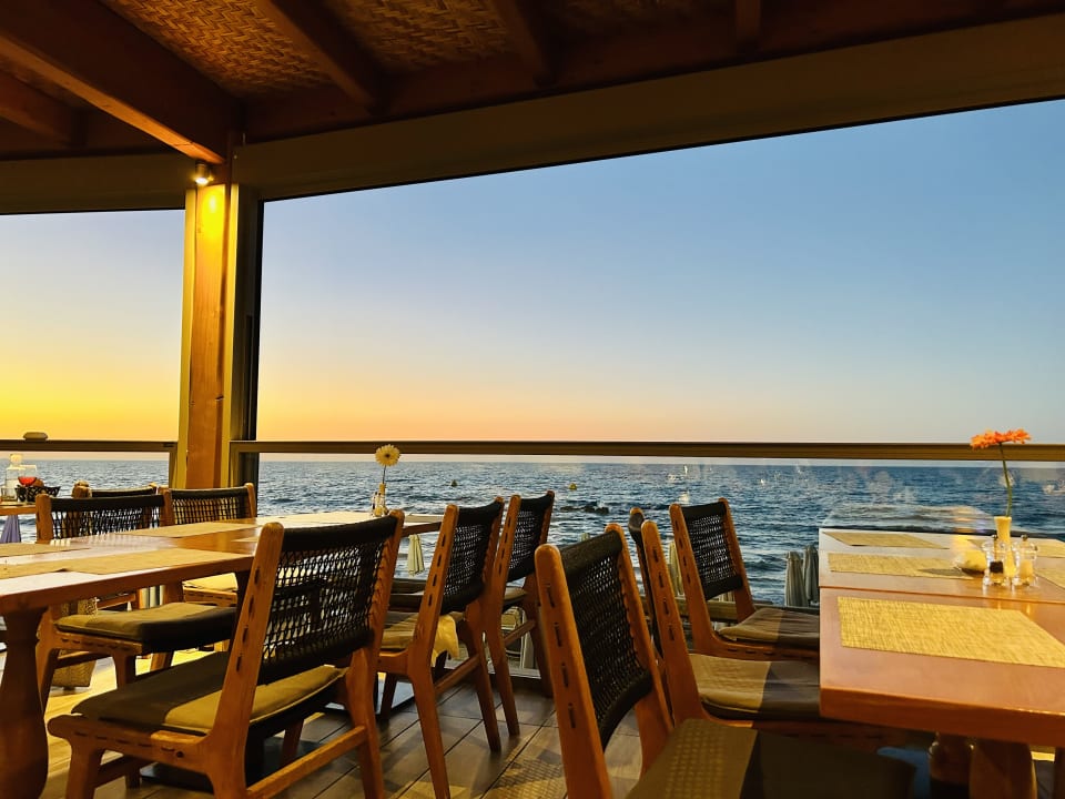 Gastro Cactus Beach