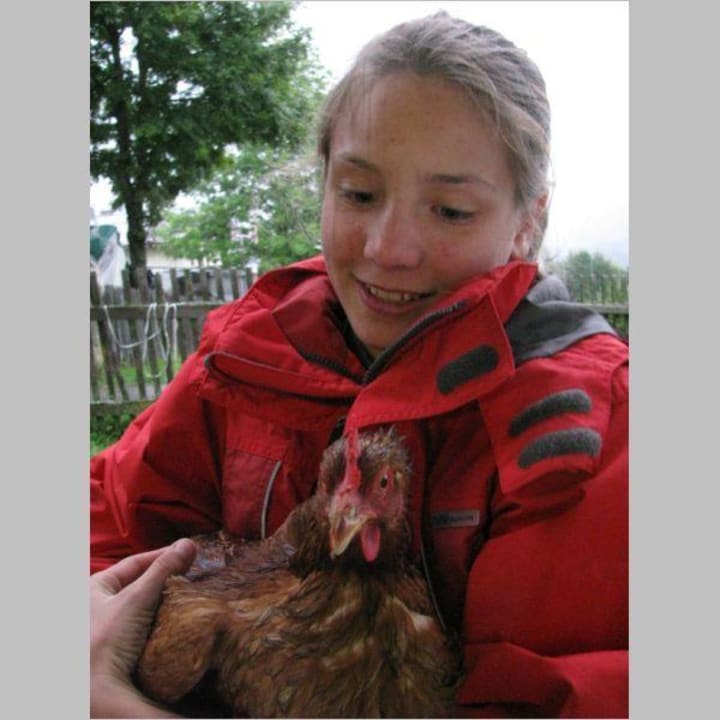 Stalldienst hier mit Huhn Genusshof Mesner Aktiv
