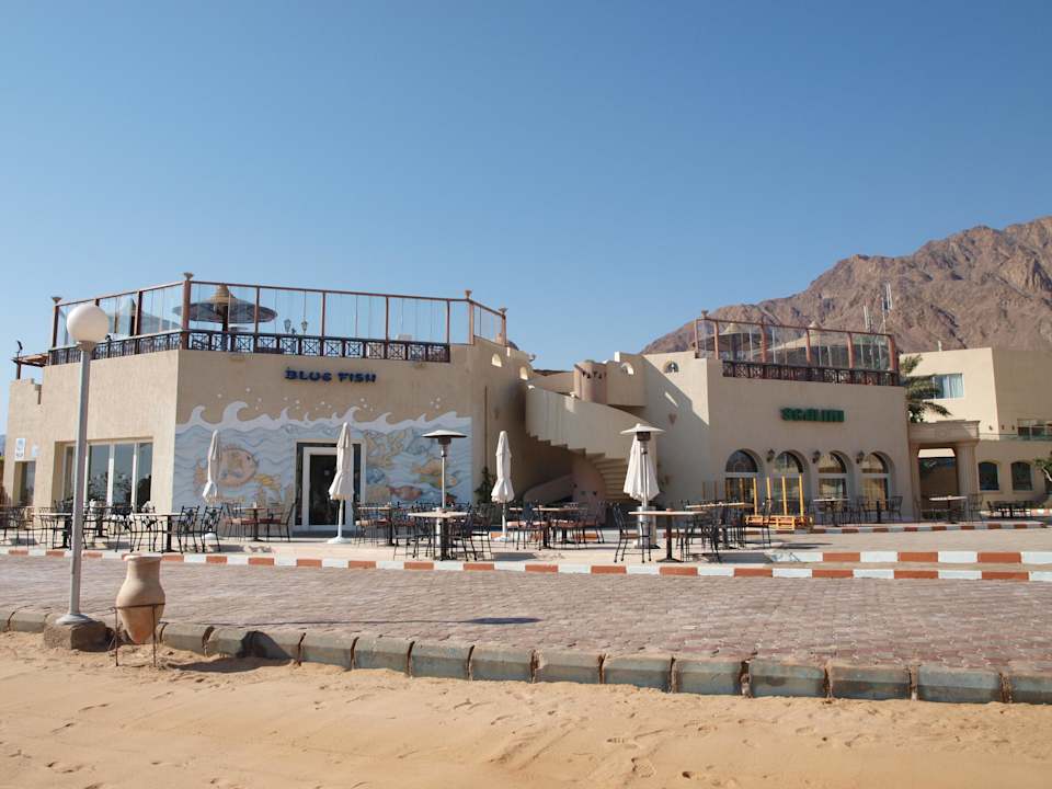 Restauracje La Playa Beach Resort Taba