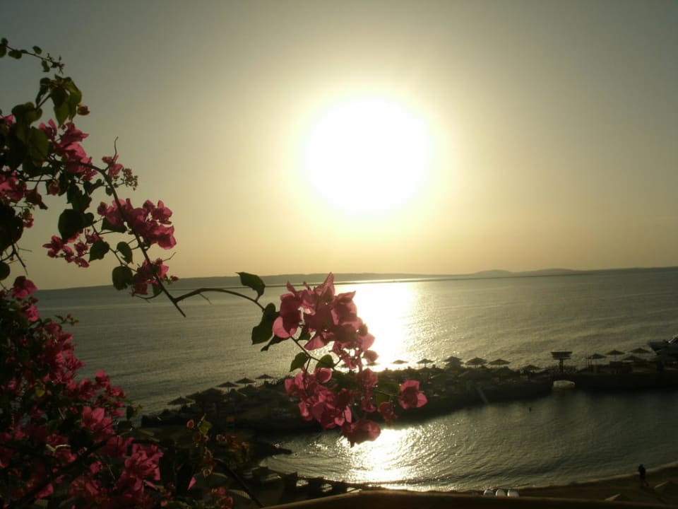 Traumhaft SUNRISE Holidays Resort (Adults Only)