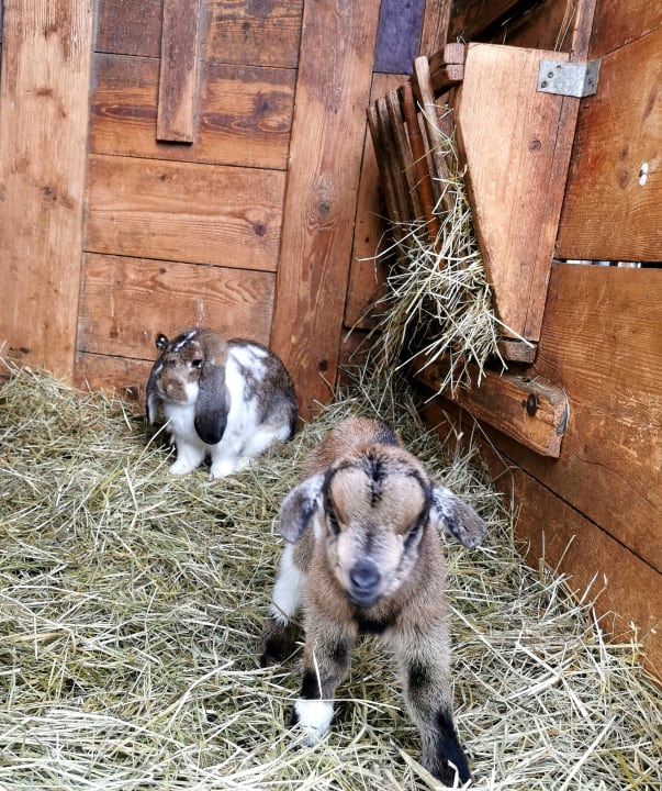 Sport & Freizeit Frankhof