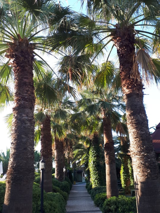 Gartenanlage Paloma Oceana