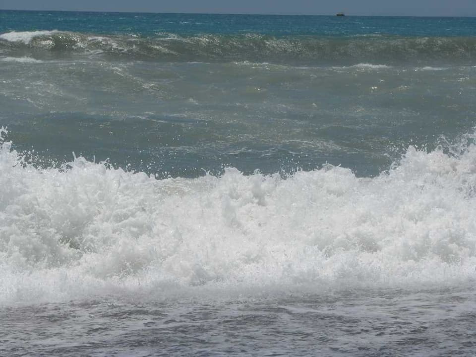 Meer TUI BLUE Palm Garden