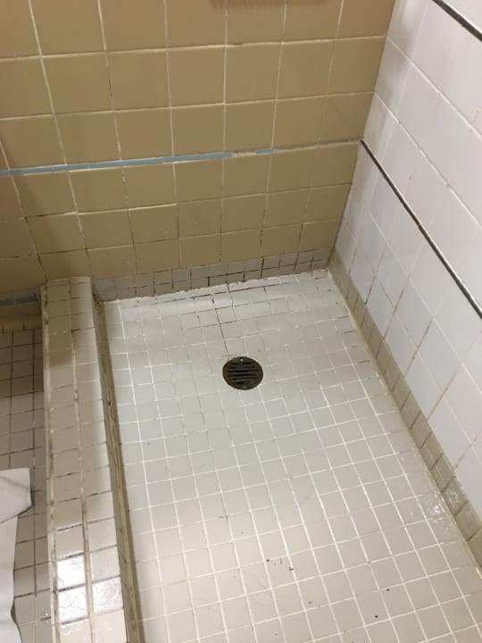 Zimmer Hotel Pelican