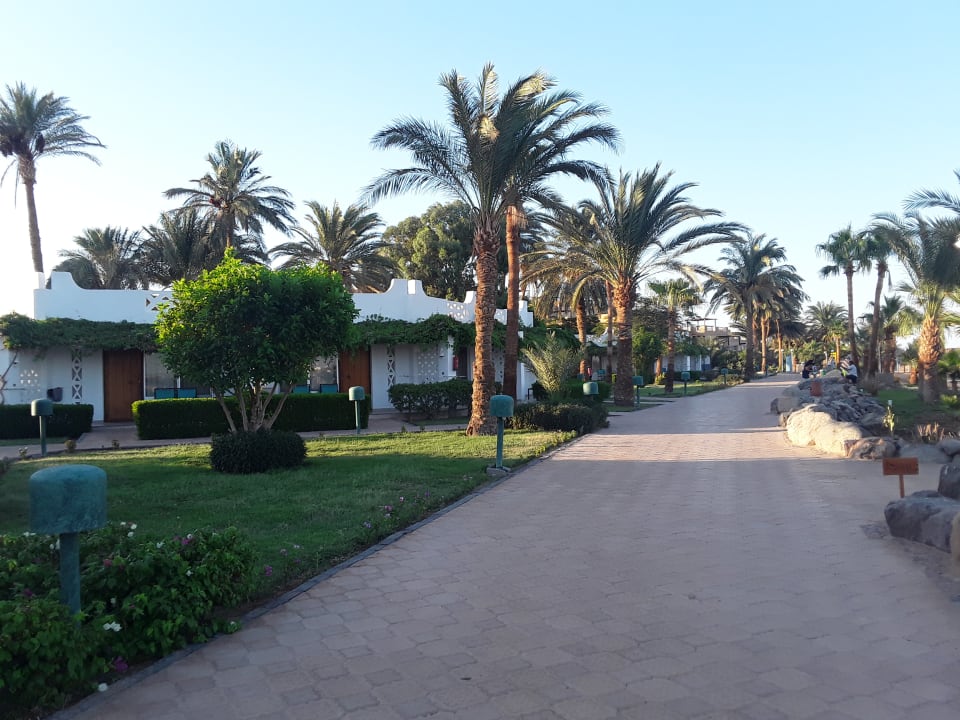 Gartenanlage Shams Safaga Resort