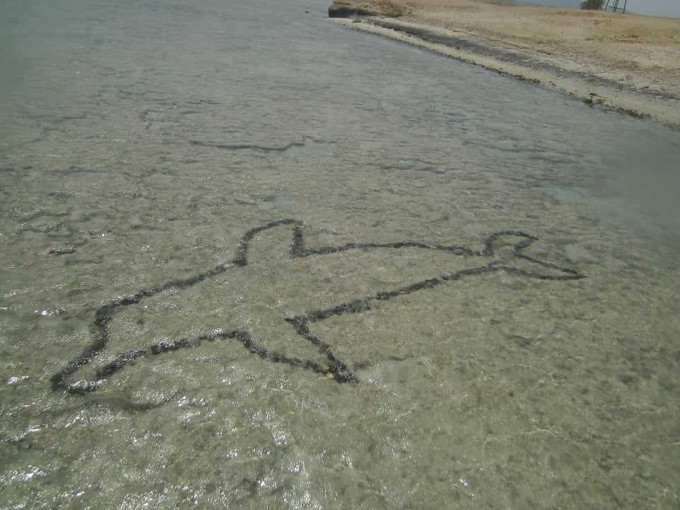Delfin built by sherif Wadi Lahmy Azur Resort