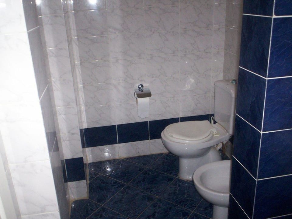 Blick ins WC Desert Rose