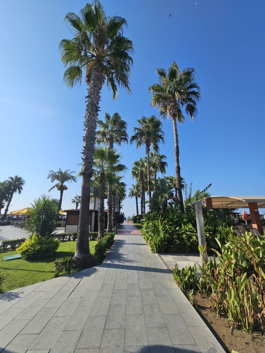Gartenanlage Pine Beach Belek