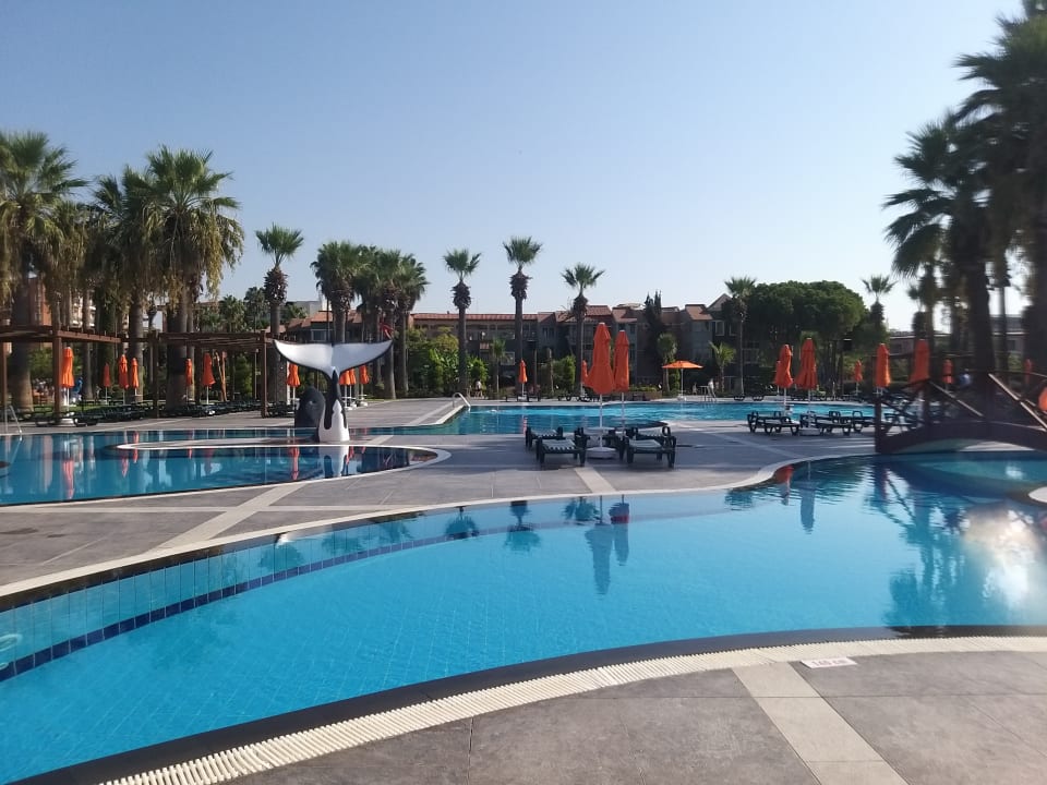 Pool Megasaray Club Belek