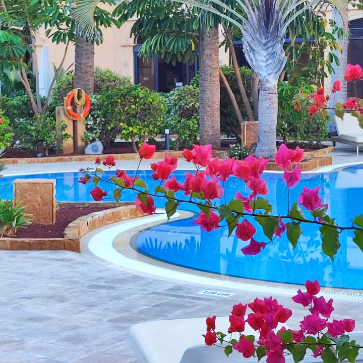 Pool Secrets Bahia Real Resort & SPA