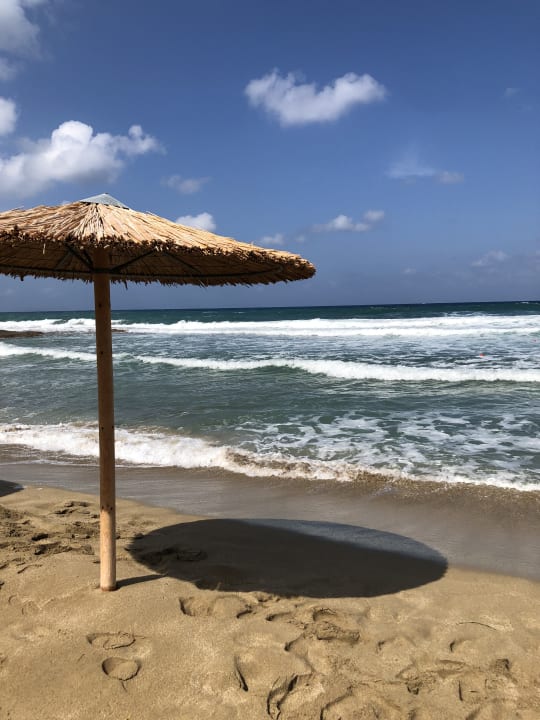 Strand allsun Hotel Carolina Mare