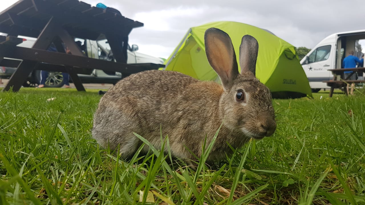 Außenansicht Greymouth Seaside Top 10 Holiday Park