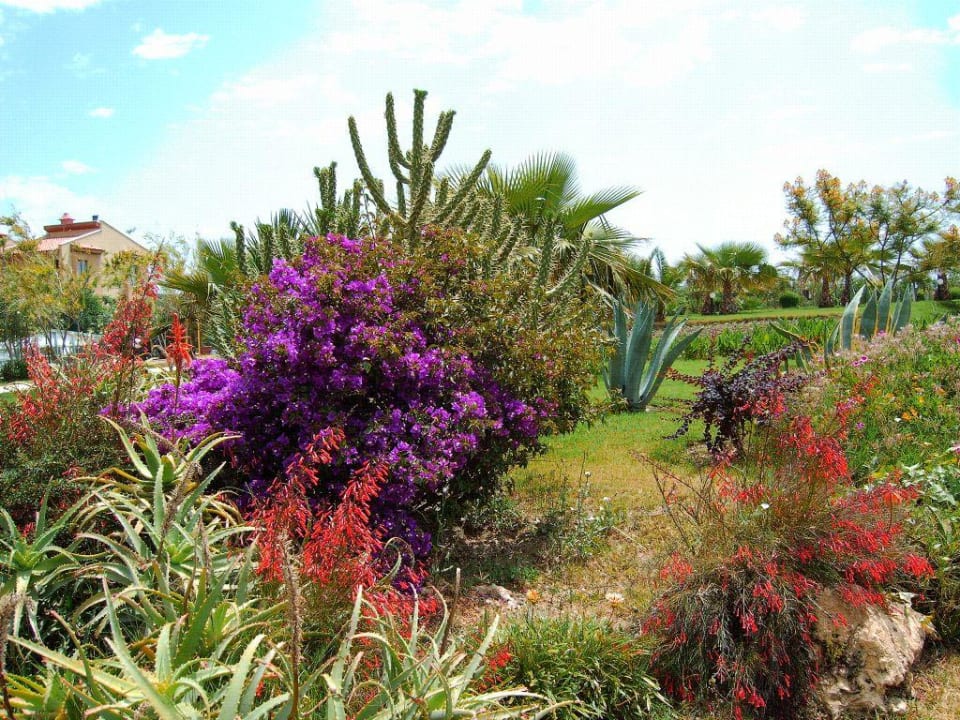 Tuin VONRESORT Golden Coast