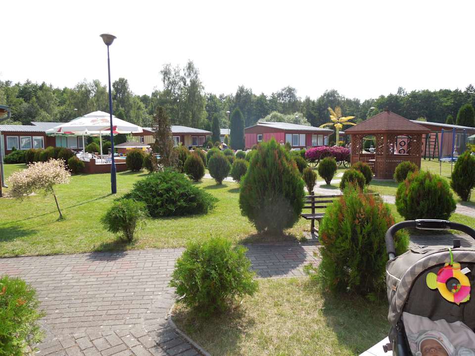 Widok z domku na ogród raz basen Ośrodek Wczasowy Mewa