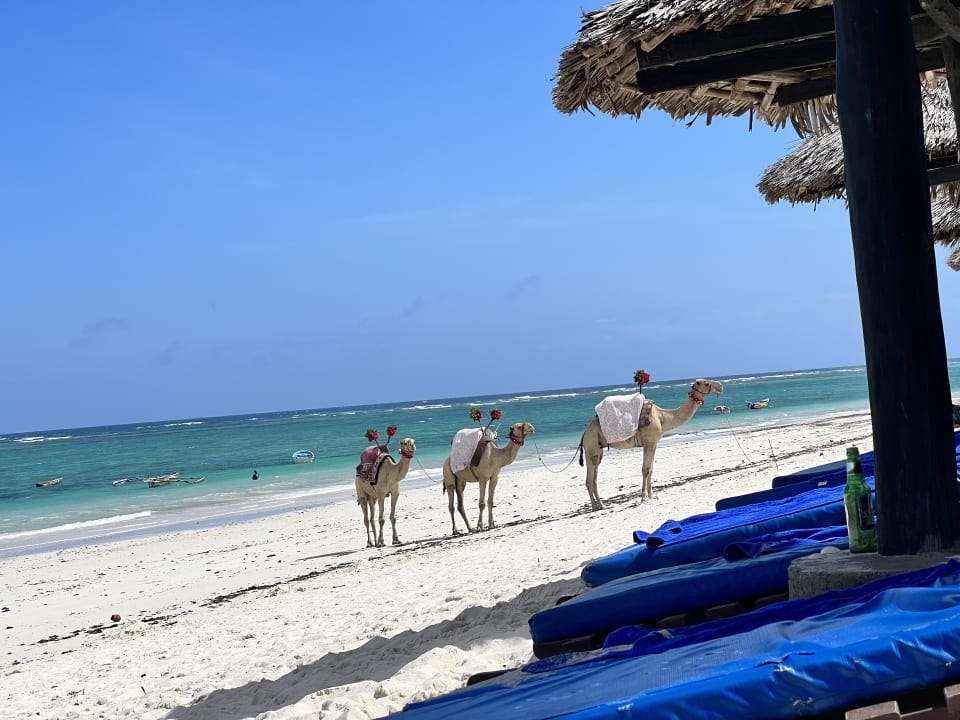 Strand Hotel Southern Palms Beach Resort