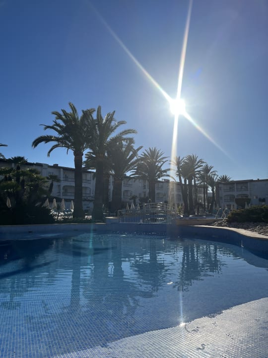 Pool Alcudia Garden Aparthotel