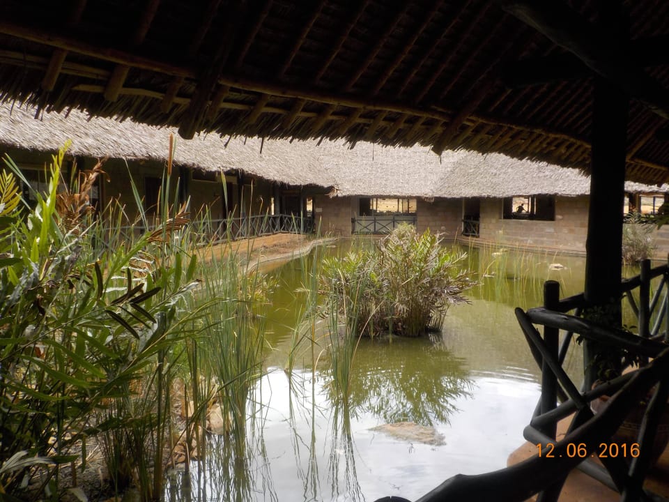 Ungepflegter Teich Voi Wildlife Lodge