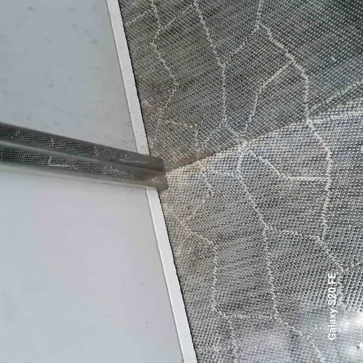 Zimmer BelleVue Club