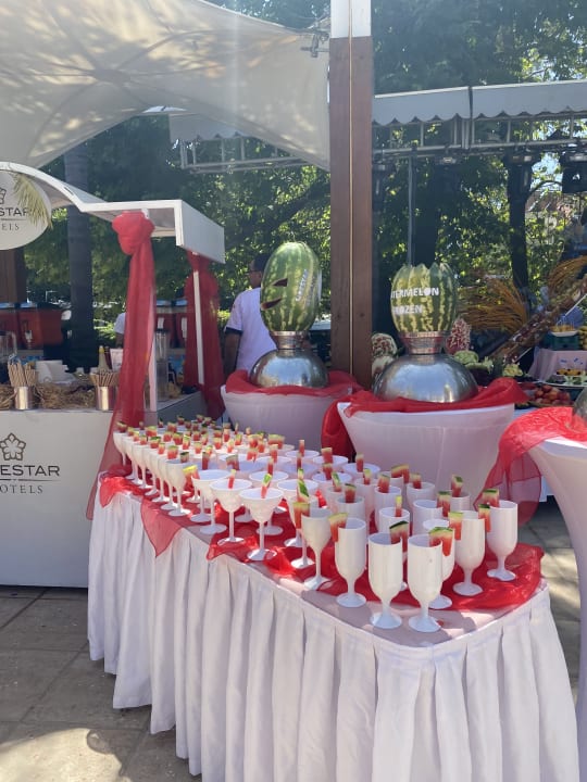 Gastro Side Star Elegance