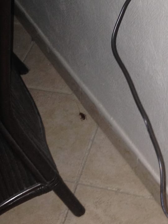 Zimmer Hotel Djerba Resort