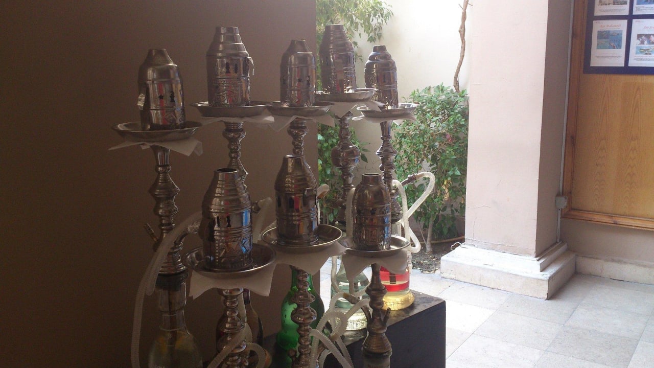 Immer was zu rauchen Ghazala Gardens